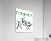 Primus 17 Acrylic Print