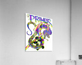 Primus 29 Acrylic Print