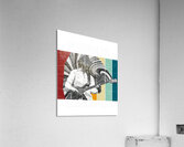 Primus 42 Acrylic Print