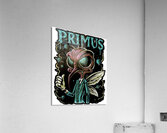 Primus 8 Acrylic Print