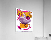 Primus 19 Acrylic Print