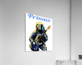 Primus 22 Acrylic Print