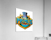 Primus 47 Impression acrylique