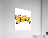 Primus 48 Acrylic Print