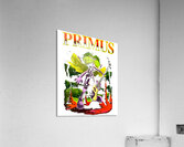 Primus 8 Acrylic Print