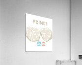 Primus 17 Acrylic Print