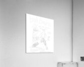 Bad Brains 5 Acrylic Print