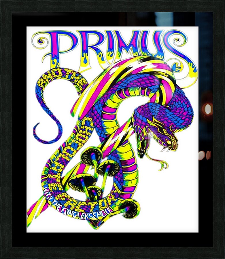 Primus 29 Picture Frame Printing