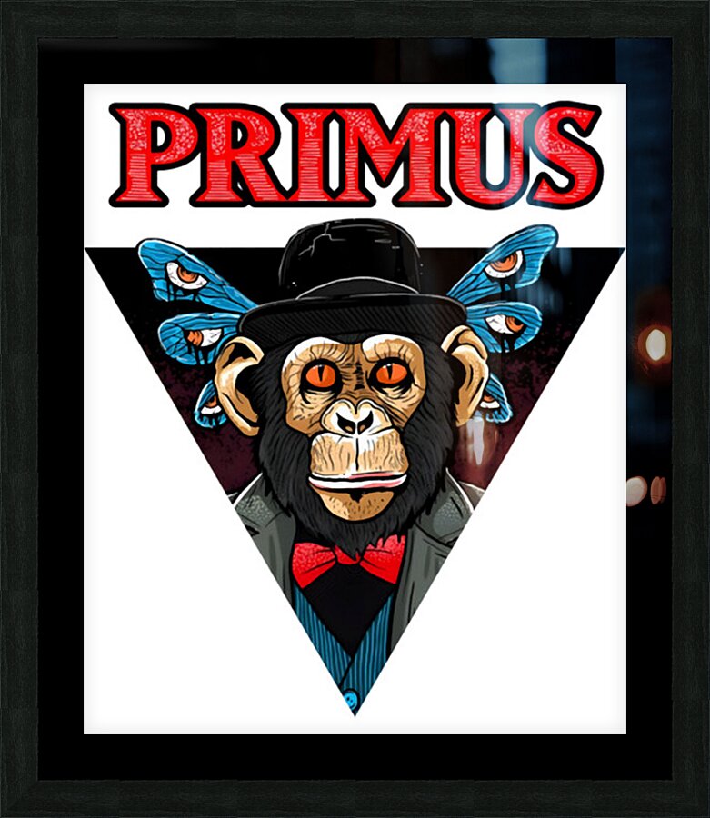 Primus 28 Picture Frame Printing