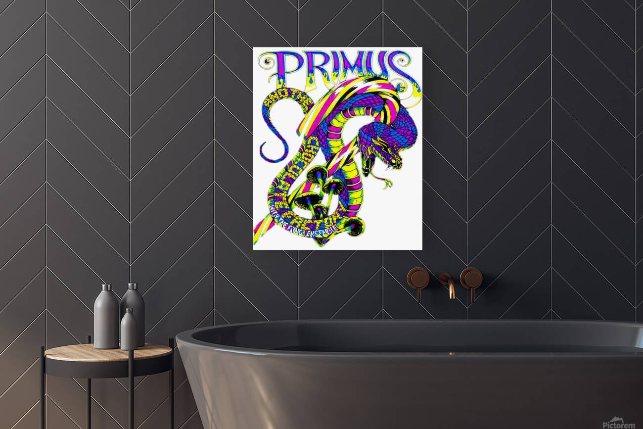 Primus 29 Reproduction