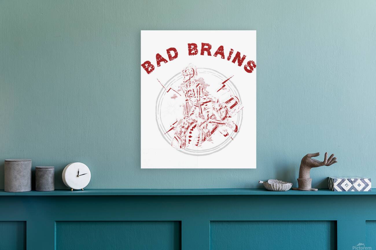 Bad Brains 13 Reproduction