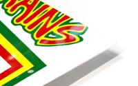 Bad Brains 14 HD Metal print
