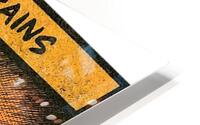 Bad Brains 23 HD Metal print