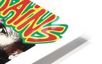 Bad Brains 43 HD Metal print