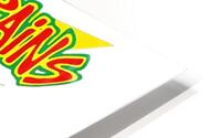 Bad Brains 47 HD Metal print