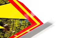 Bad Brains 47 HD Metal print
