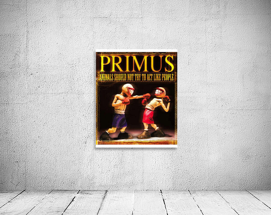 Primus 43 Wall Preview