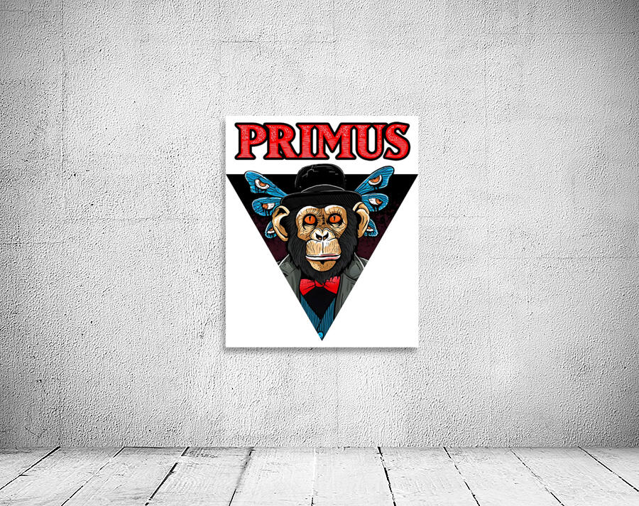 Primus 28 Wall Preview