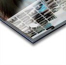 Anticipate Greatness  Acrylic print