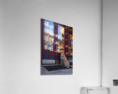 Is Anyone There  Acrylic Print