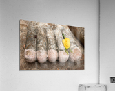 Buddha Foot Acrylic Print