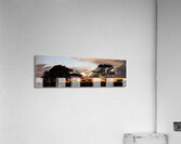Serengeti Sunset Acrylic Print