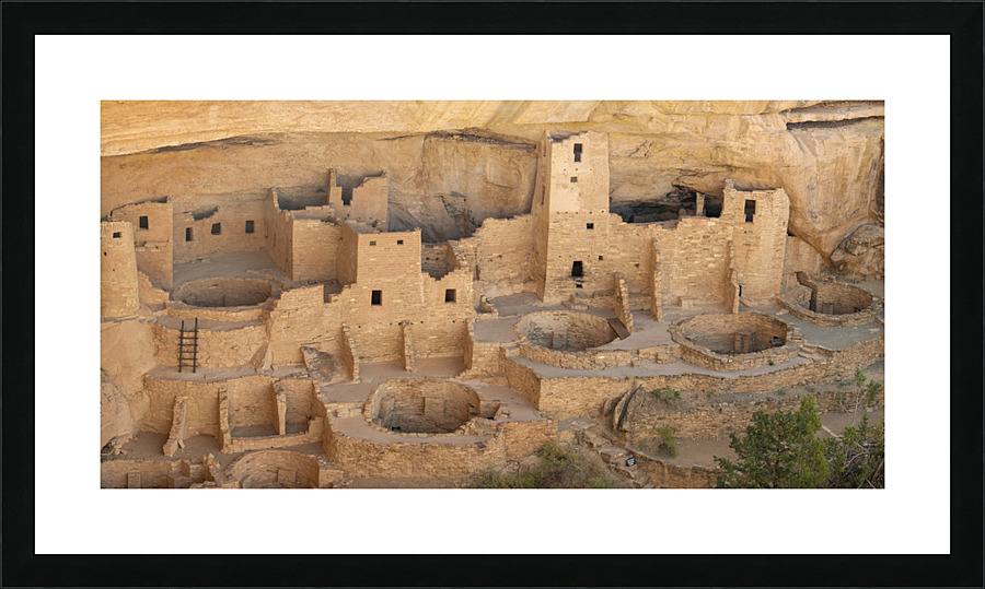 Spruce Tree House Picture Frame print