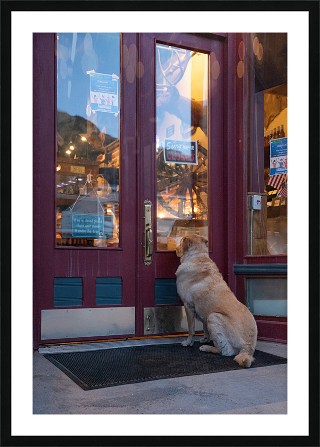 Is Anyone There  Picture Frame print