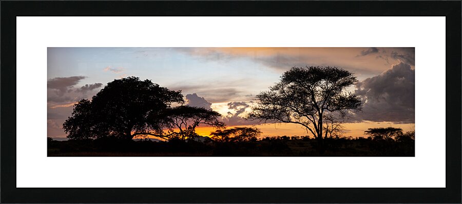 Serengeti Sunset Picture Frame print
