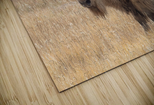 White Buffalo MacClenahan Photography puzzle