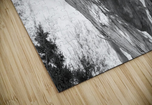 Wild Horse in Black & White MacClenahan Photography puzzle