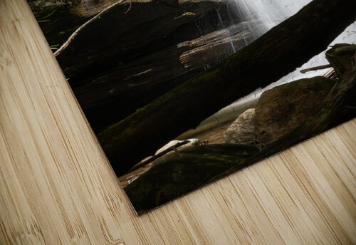 Moonshine Falls MacClenahan Photography puzzle