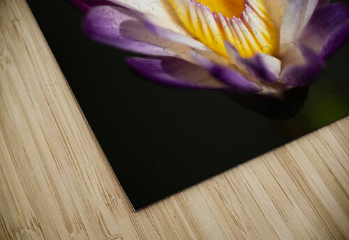 Purple Flower MacClenahan Photography puzzle
