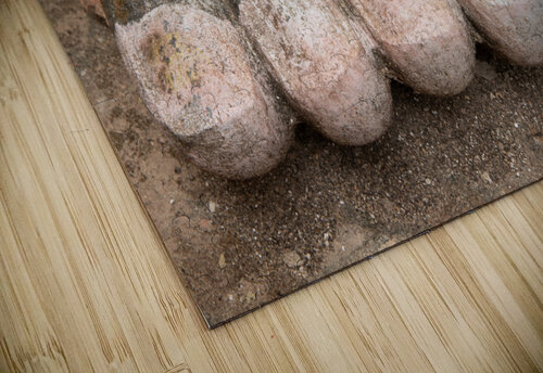 Buddha Foot MacClenahan Photography puzzle