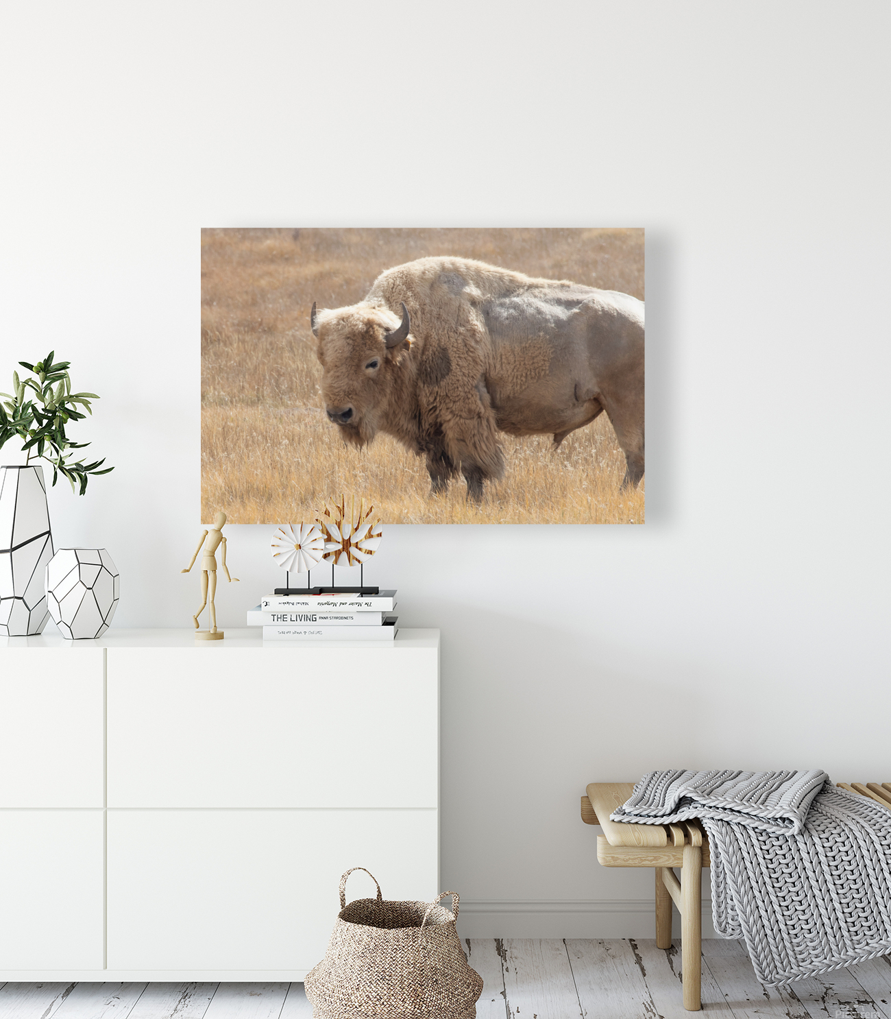 White Buffalo Reproduction