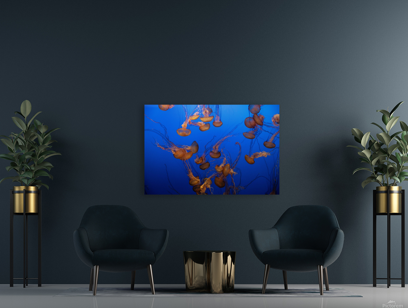 Jellyfish Reproduction