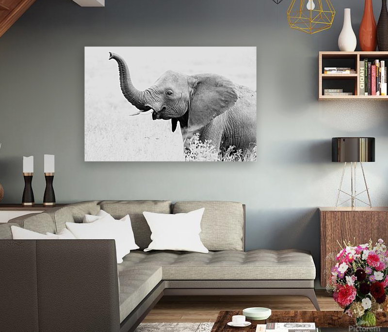 Elephant High Key Reproduction
