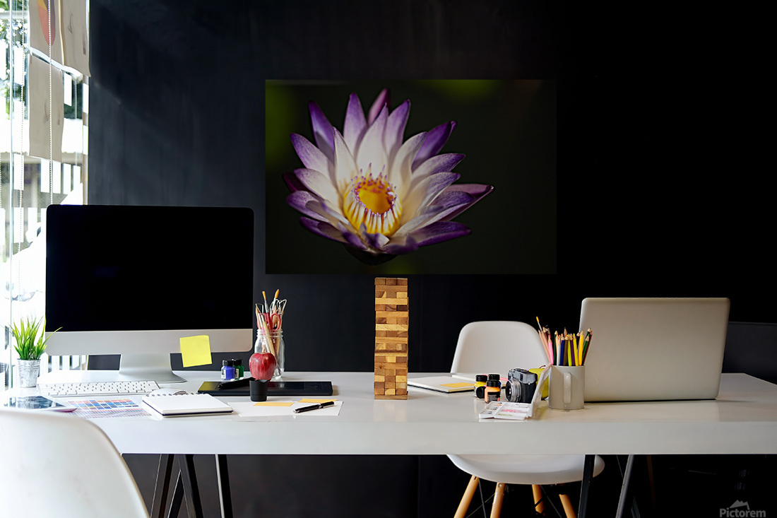 Purple Flower Reproduction