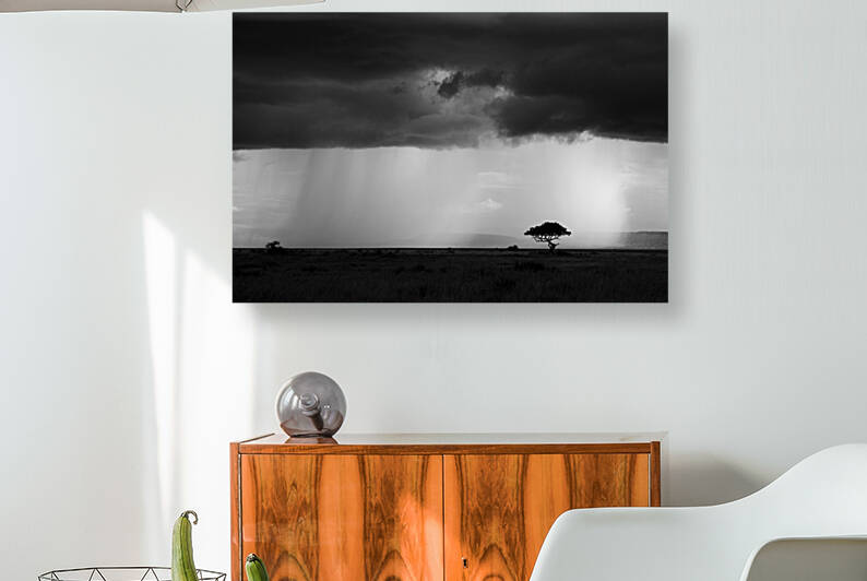 Rains Serengeti by MacClenahan Photography