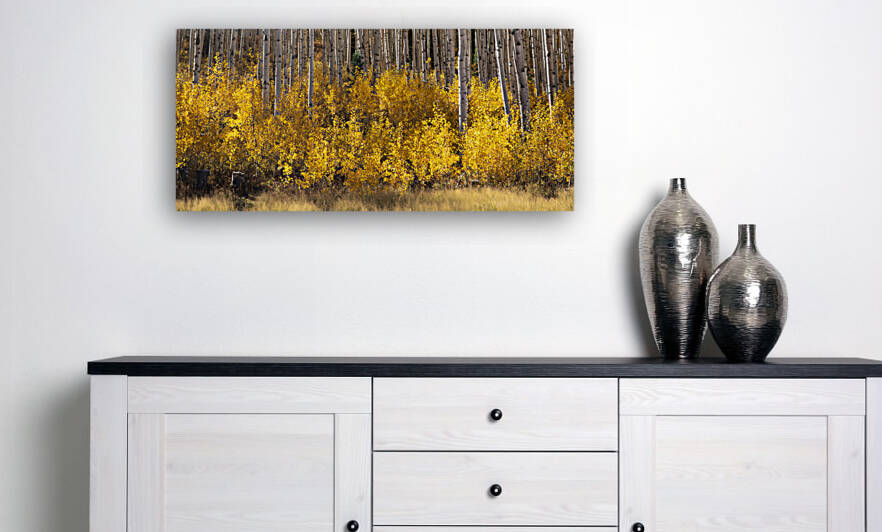 Aspen Pano  6 by MacClenahan Photography