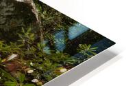Moonshine Falls HD Metal print