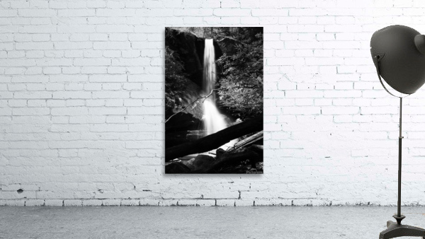 Moonshine Falls Black & White Wall Preview
