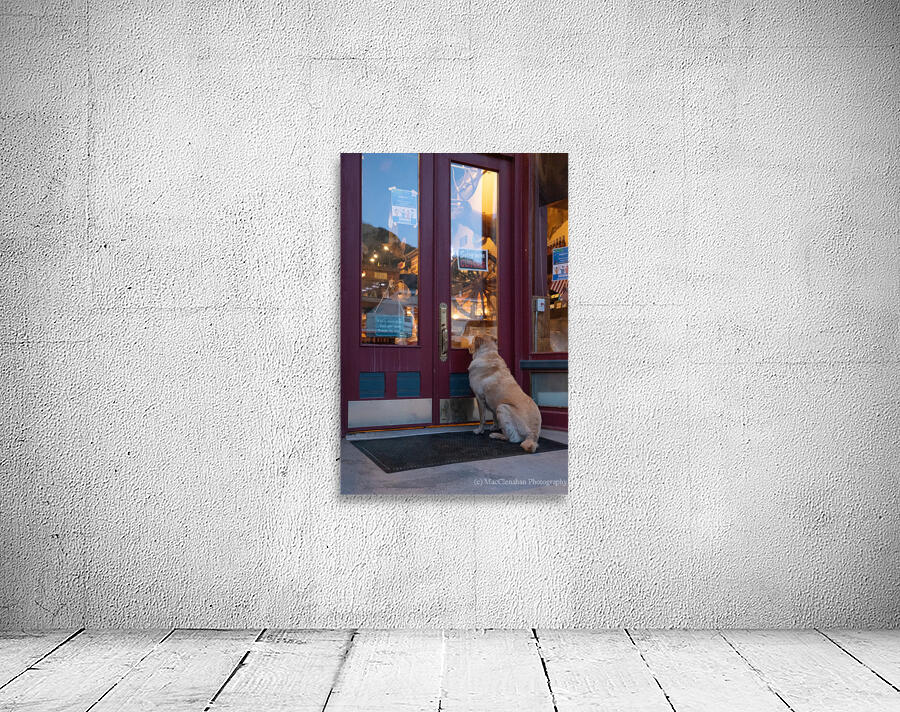 Is Anyone There  Wall Preview