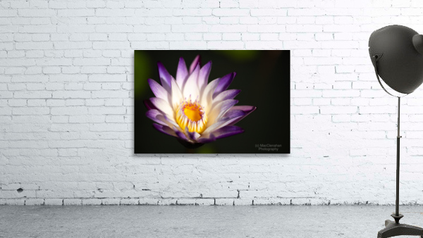 Purple Flower Wall Preview
