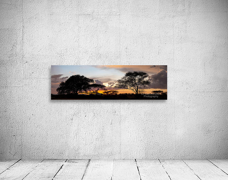 Serengeti Sunset Wall Preview