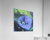 open_drawer_mr_atomic Acrylic Print