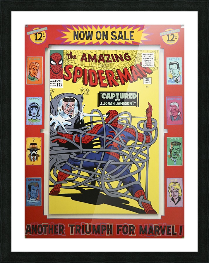 Spiderman Picture Frame print