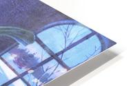 Winter Pepper HD Metal print