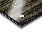 FS240207DW Acrylic print