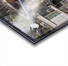 FS190712 1 Acrylic print